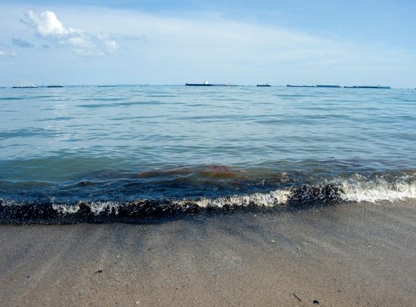 لمشروع جغرافيا البيئة البحرية القدرة على اكتشاف الجهات المتسببة في التلوث البحري- مشاع إبداعي