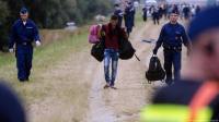 دول الاتحاد الأوروبي تسجل زيادة في طلبات اللجوء خلال أغسطس الماضي - د ب أ