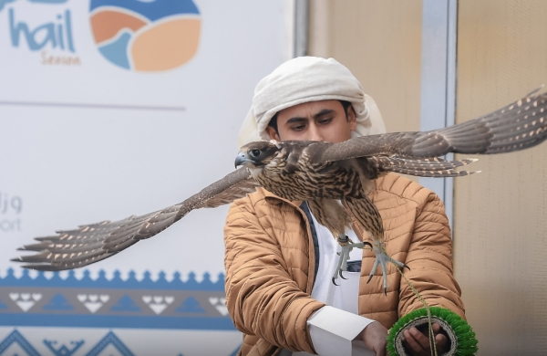 مهرجان الملك عبد العزيز للصقور.. احتفاء عالمي بإرث سعودي أصيل