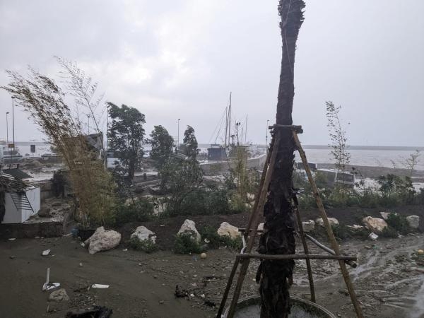 انهيار أرضي في جزيرة إسكيا الإيطالية يؤدي بحياة 8 وفقد 13 شخصًا