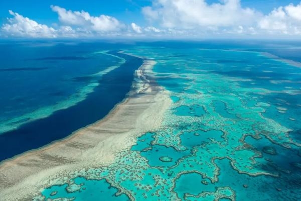 تقرير أممي يوصي بتصنيف الحاجز المرجاني العظيم كتراث عالمي معرض للخطر