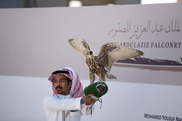 150 صقراً تشارك في منافسات اليوم الثالث بمهرجان الملك عبدالعزيز للصقور