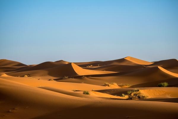 موريتانيا: قتل مواطنينا خارج الحدود في الصحراء الغربية لم يعد مقبولا