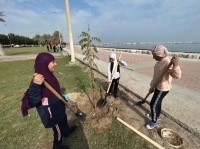 في "يوم التطوع السعودي".. 70 شخصا يغرسون 200 شجرة بالقطيف