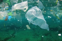 بقايا الأكياس البلاستيك في المحيطات