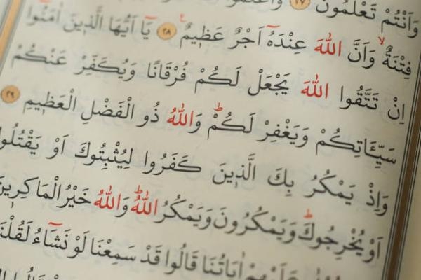 اللغة العربية لها مكانة متميزة لدى لمسلمين في العالم كله لأنها لغة القرآن الكريم - مشاع إبداعي
