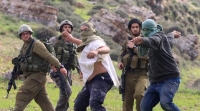 مستوطنون يعتدون على الفلسطينين - حساب المركز الأوروبي الفلسطيني للإعلام 