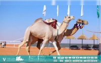 احتفاء مهرجان "الملك عبد العزيز للإبل" باليوم الوطني القطري