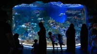 المتحف المائي الوحيد في السعودية الذي يدمج التعليم بالترفيه - حساب تويتر