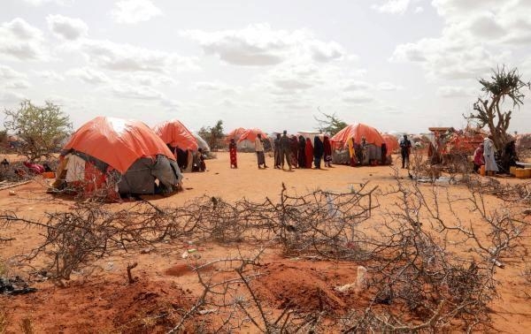 مخيم كاكساري للنازحين داخليا في دولو بمنطقة جيدو بالصومال - رويترز