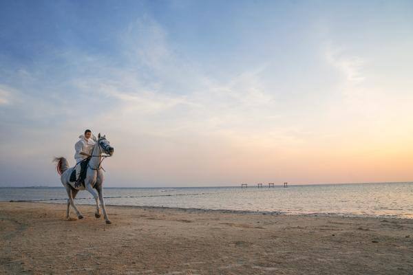 ركوب الخيول على شاطئ البحر في مدينة الملك عبد الله الاقتصادية - روح السعودية