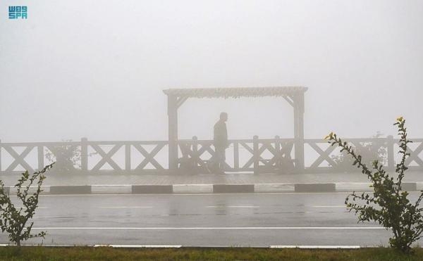 الضباب يغطي محافظة طريف وأمطار متوسطة على الباحة