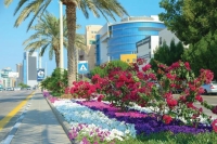 بلدية الخبر: نسعى لتغطية أكثر الطرق والميادين بأعداد كبيرة من الزهور
