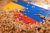 تراجع صادرات الحبوب الأوكرانية 29.6% منذ بداية موسم 2022-2023