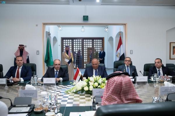 المملكة ومصر تؤكدان مواصلة محاربة التنظيمات الإرهابية في المنطقة