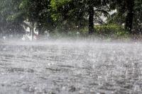 "الأرصاد": أمطار رعدية على منطقة عسير