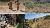في بلدة صومالية.. مقتل 5 في هجوم لحركة الشباب على قاعدة عسكرية