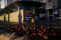  النماذج المقلدة من التفاح الأحمر والأخضر خارج نيو سكوتلاند يارد - بي بي سي لندن على توتير 