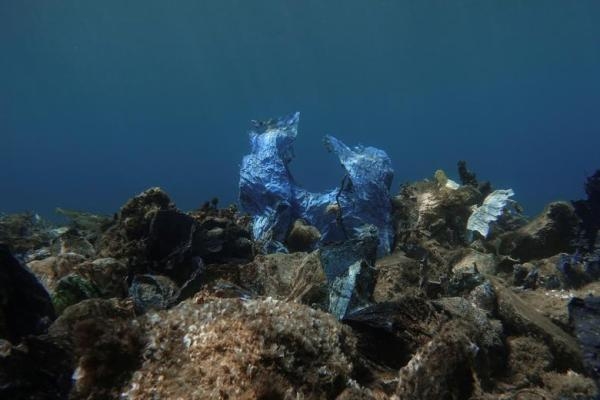 بكتيريا تتغذى على البلاستيك.. هل تنقذ الكوكب من النفايات؟