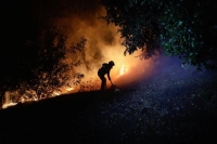 رجل إطفاء يكافح حريقًا في بعض َالمناطق الريفية في كويلون بتشيلي - رويترز