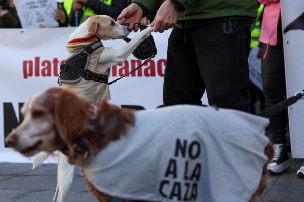 الآلاف يحتجون على قانون حقوق الحيوان في إسبانيا