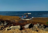 إزالة 14 طن مخلفات من شواطئ بحر القنفذة - اليوم