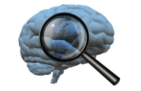 هل يؤثر العمل الجماعي إيجابيا على دماغ الإنسان؟