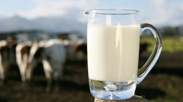 الحليب الحيواني يمنع عن الأطفال دون الـ 12 شهرًا - مشاع إبداعي