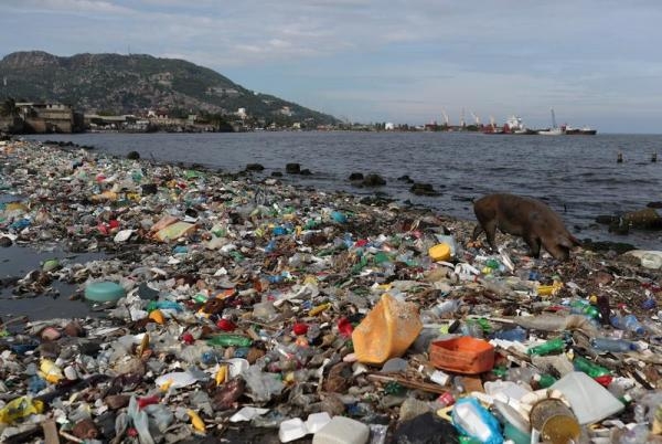 اكتشاف مرض جديد في الطوير ينتج عن التلوث البلاستيكي - رويترز 