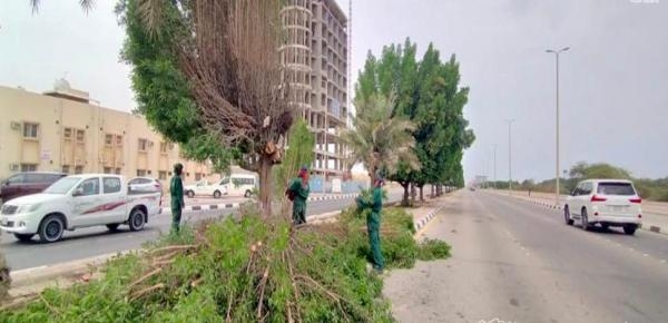 أشجار جديدة وشبكات للري في شوارع الجبيل