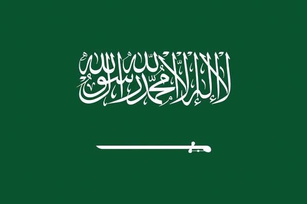 طرق العناية بالعلم الوطني السعودي - اليوم
