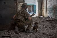 الاستخبارات الأمريكية تحذر: روسيا ربما استعدت لحرب استنزاف طويلة في أوكرانيا