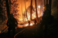 بعد 21 ساعة.. إخماد حريق هائل في كوريا الجنوبية ومقتل رجل إطفاء
