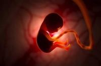 ينمو الجنين أحيانًا خارج الرحم فيظل عالقًا في جسد الأم حتى تكتشفه- مشاع إبداعي