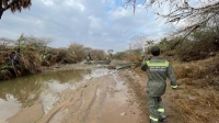 الدفاع المدني ينتشل غريقًا من مجرى سيل في صبيا