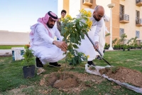 زراعة أكثر من 3500 شجرة لزيادة المساحات الخضراء بأحياء المدينة - حساب الأمانة على تويتر