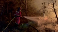 رجال الإطفاء يكافحون أول حريق هائل ضخم هذا العام في إسبانيا - رويترز