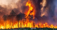 التهمت الحرائق أكثر من 7 آلاف فدان من الغابات الإسبانية- مشاع إبداعي