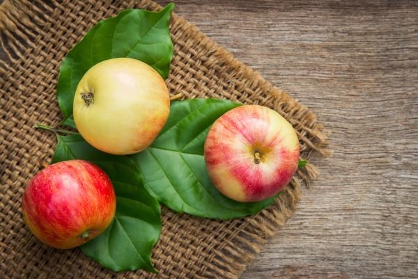 التفاح غني بالألياف الغذائية والفيتامينات والدهون الصحية - مشاع إبداعي