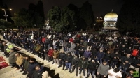 عدد مصلي التراويح في المسجد الأقصى يزداد رغم اعتداءات قوات الاحتلال - حساب RTARABIC على تويتر