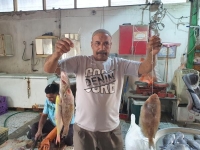 انخفاض في حركة شراء الأسماك خلال رمضان - اليوم