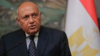 وزير الخارجية المصري يؤكد ضرورة الحفاظ على مؤسسات الدولة السودانية - رويترز