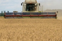 أوكرانيا واحدة من أكبر موردي الحبوب في العالم - رويترز