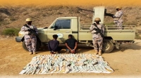 حرس الحدود بجازان يقبض على 4 مخالفين حاولوا تهريب "القات" المخدر