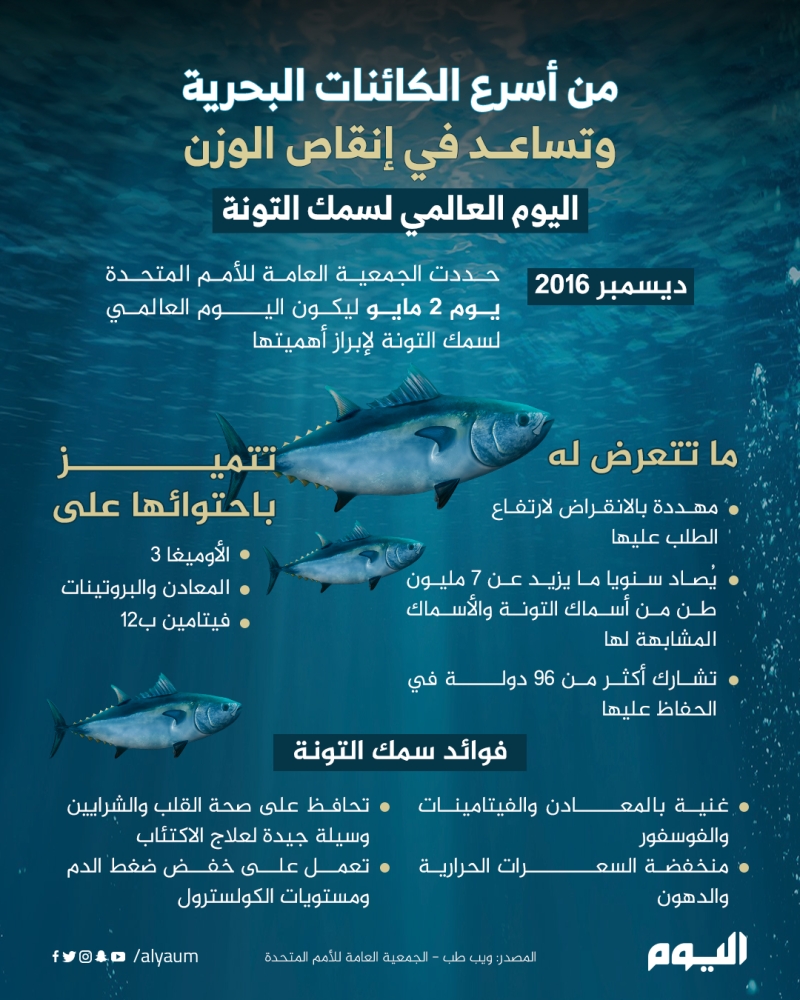 من أسرع الكائنات البحرية وتساعد في إنقاص الوزن.. اليوم العالمي لسمك التونة