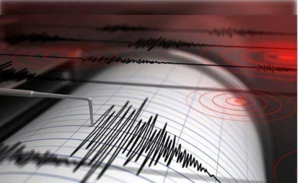 بقوة 5.4 درجات.. زلزال يضرب كيرماديك في نيوزيلندا