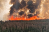 حرائق الغابات في مقاطعة ألبرتا الكندية تستمر في الانتشار - موقع nbc news
