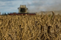 قبل يوم من انسحاب روسيا.. تمديد اتفاق البحر الأسود لتصدير الحبوب الأوكرانية لمدة شهرين