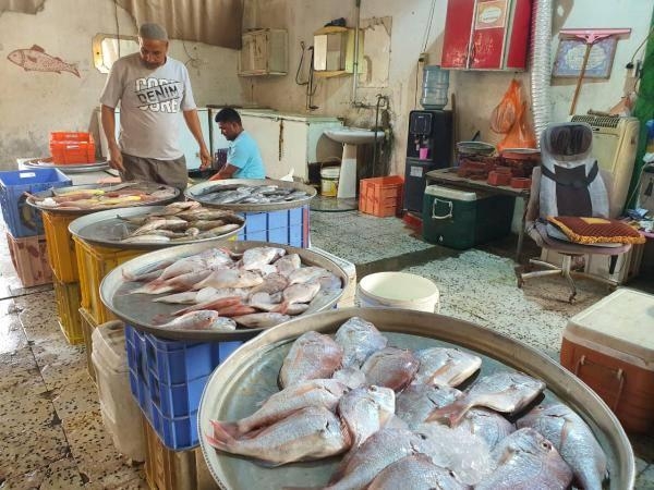 أسواق الأسماك في المنطقة الشرقية تحافظ على استقرار الأسعار- اليوم