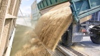 روسيا تطالب بتسهيل صادراتها من الحبوب والأسمدة - موقع BBC